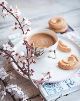 Coffee test - Весна — прекрасное время года! Именно весной чашка кофе  становится частью нашего ежедневного гардероба ☕🍁 Дорогие друзья, хочется  всех поздравить с чудесным и долгожданным началом весны😍 Тёплые лучи  солнца,