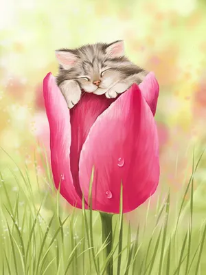 Лайфхак дня: что делать, если орёт кот весной - sib.fm