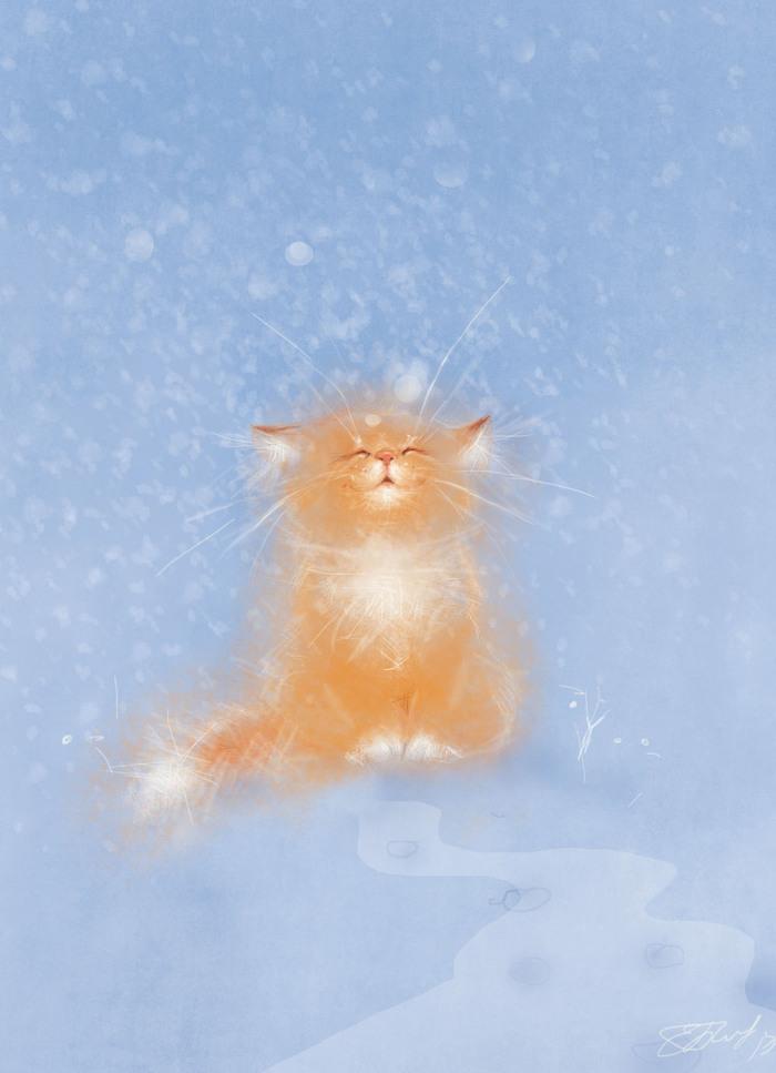 картинки : природа, снег, зима, белый, мороз, Домашнее животное, Кот,  Погода, Млекопитающее, Крупным планом, Бакенбарды, Домашняя кошка,  скумбрия, Макросъемка, Снег, От маленьких до средних кошек, Кошка как  млекопитающее 3629x2419 - - 1276169 ...