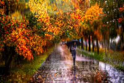 Осенний парк (50 фото) Красивая природа. Осень в парке