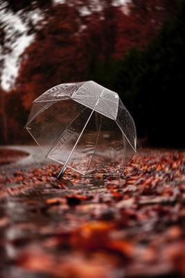 Красивые осенние листья упали в воду осенним дождем Верхнее представление  Стоковое Фото - изображение насчитывающей конспектов, холодно: 159553452