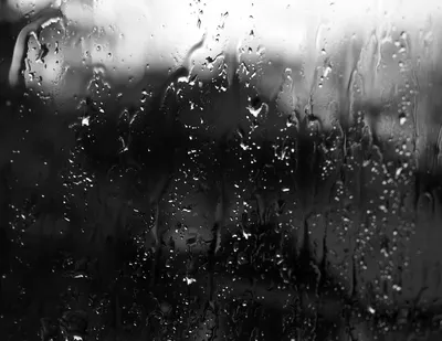 Газета \"Биробиджанер штерн\" - Слезы дождя... Фото @julia_novikova87  #биробиджанерштерн #Биробиджан #дождь #непогода #печаль | Facebook