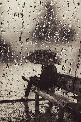 Скачать картинки Дождь грусть, стоковые фото Дождь грусть в хорошем  качестве | Depositphotos