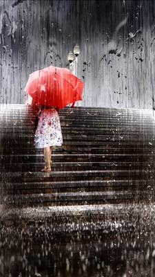 Летний дождь | Пикабу