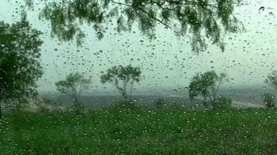 В Днепре второй день идет летний дождь: красивые фото непогоды