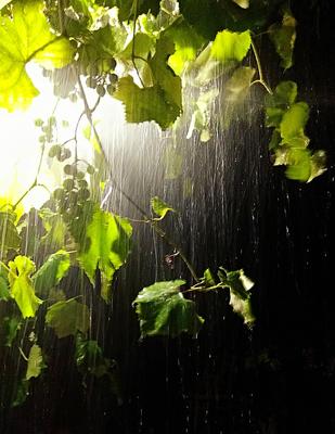 Летний дождь\" – заказать на Ярмарке Мастеров – P2OD2RU | Картины, Завьялово