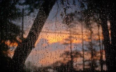 Дождливое летнее утро (58 фото) - 58 фото
