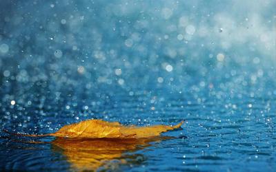 Осень, дождь