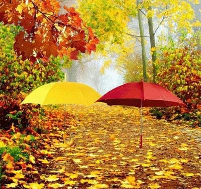 Осень листья дождь (58 фото) - 58 фото
