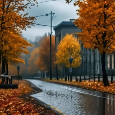 Осенний Дождь — стоковые фотографии и другие картинки Без людей - Без  людей, Вертикальный, Дождь - iStock