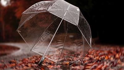 Картинки осень дождь понедельник (41 фото) » Юмор, позитив и много смешных  картинок