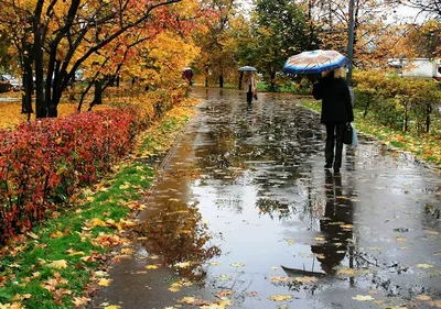 Скачать обои девушка, капли, зонт, Санкт-Петербург, Осенний дождь, раздел  город в разрешении 2048x1452