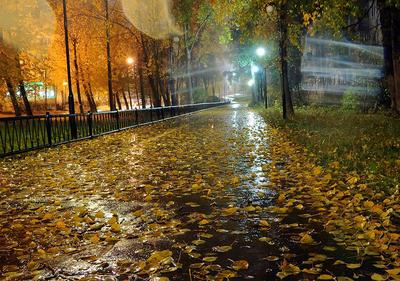 Осенний дождь (71 фото) - 71 фото