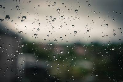 Что нужно знать о фотосессии под дождем?