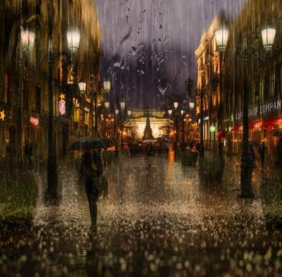 50 красивых фото дождя за окном в городе, на природе и не только