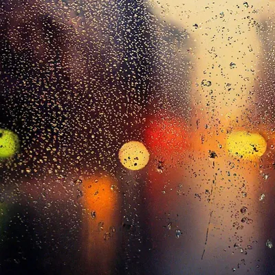 Зонтик Под Дождем — стоковые фотографии и другие картинки Проливной дождь -  Проливной дождь, Буря, Дождь - iStock