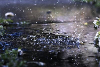 Дождь На Радужном Зонтике — стоковые фотографии и другие картинки Дождь -  Дождь, Зонт, Апрель - iStock