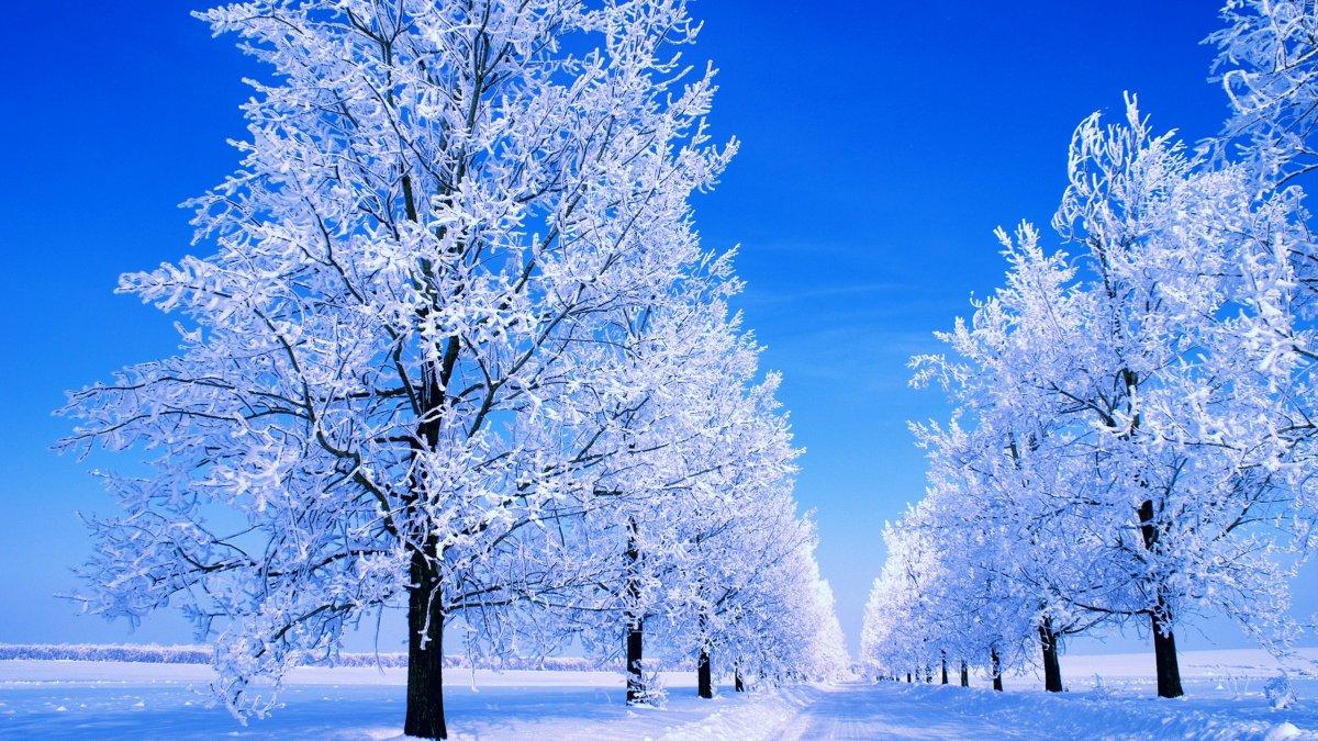 Зима. Природа. Снег. Красиво. …» — создано в Шедевруме