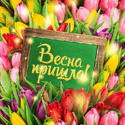 С первым днем весны: красивые картинки и открытки к 1 марта - МК Сахалин
