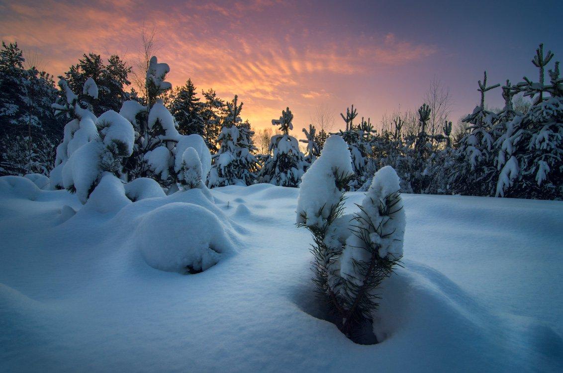 Снежная зима — Фото №171151