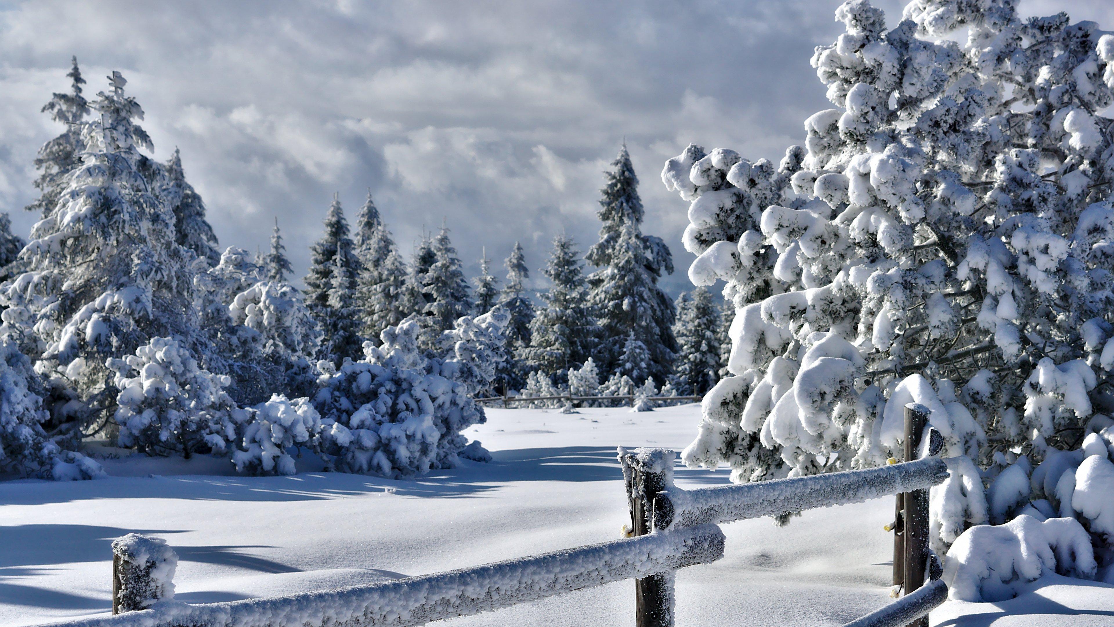 Картинки снежная зима красивые (70 фото) » Картинки и статусы про  окружающий мир вокруг