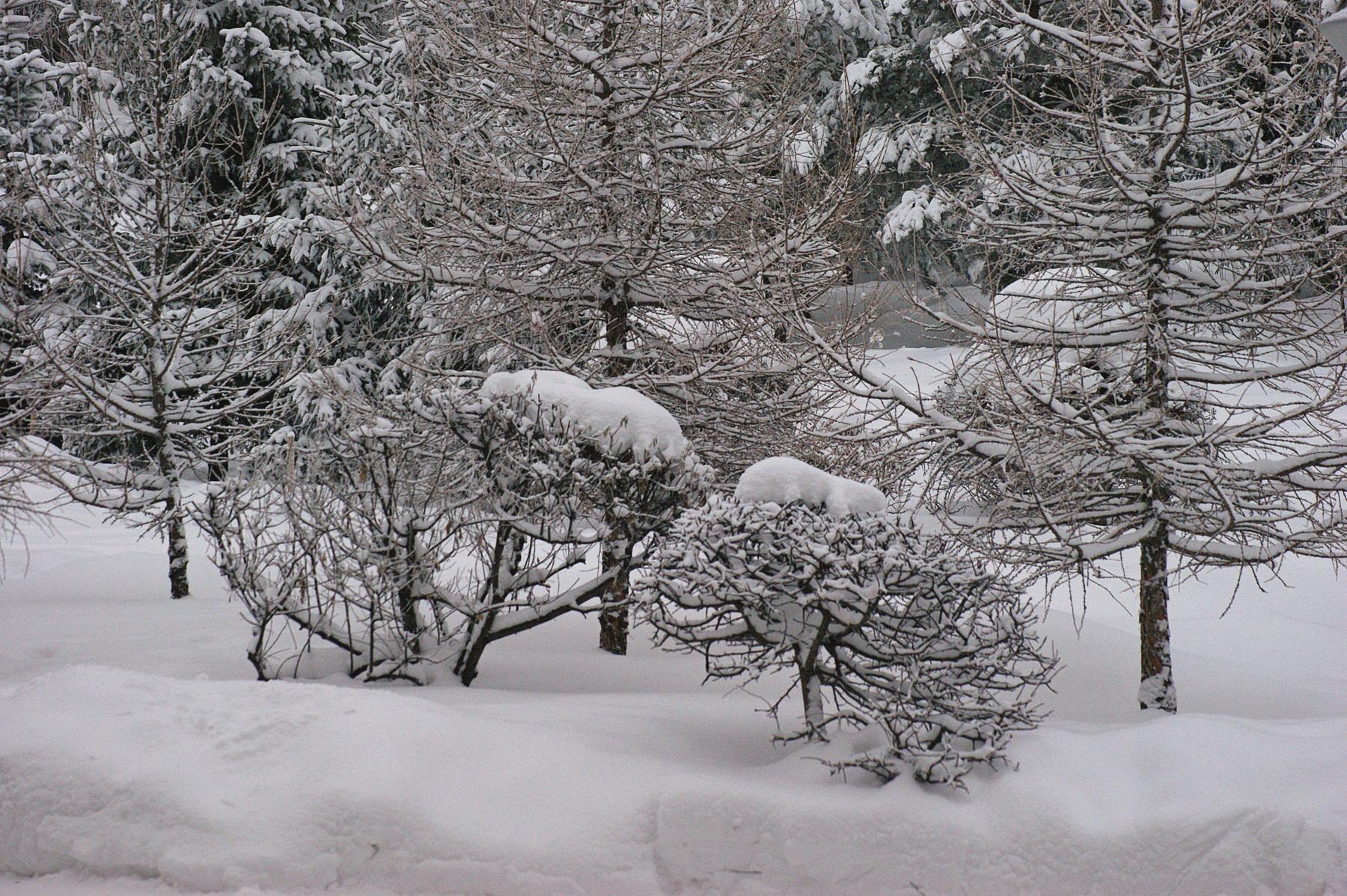 Снежная зима стоковое фото ©trancedrumer 2970587