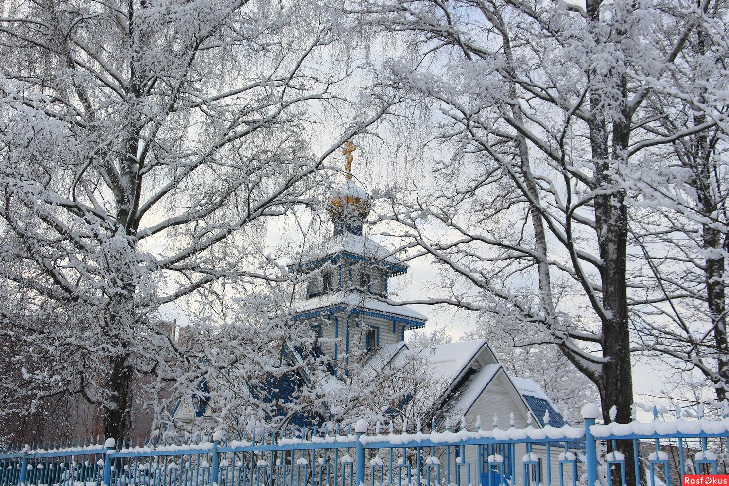 Снежная зима -это так не по Калининградски, но так красиво и самое время  делать красивые фото. 📸📸📸📸📸📸📸📸📸📸📸📸📸📸 И лучше портреты в  объективе… | Instagram