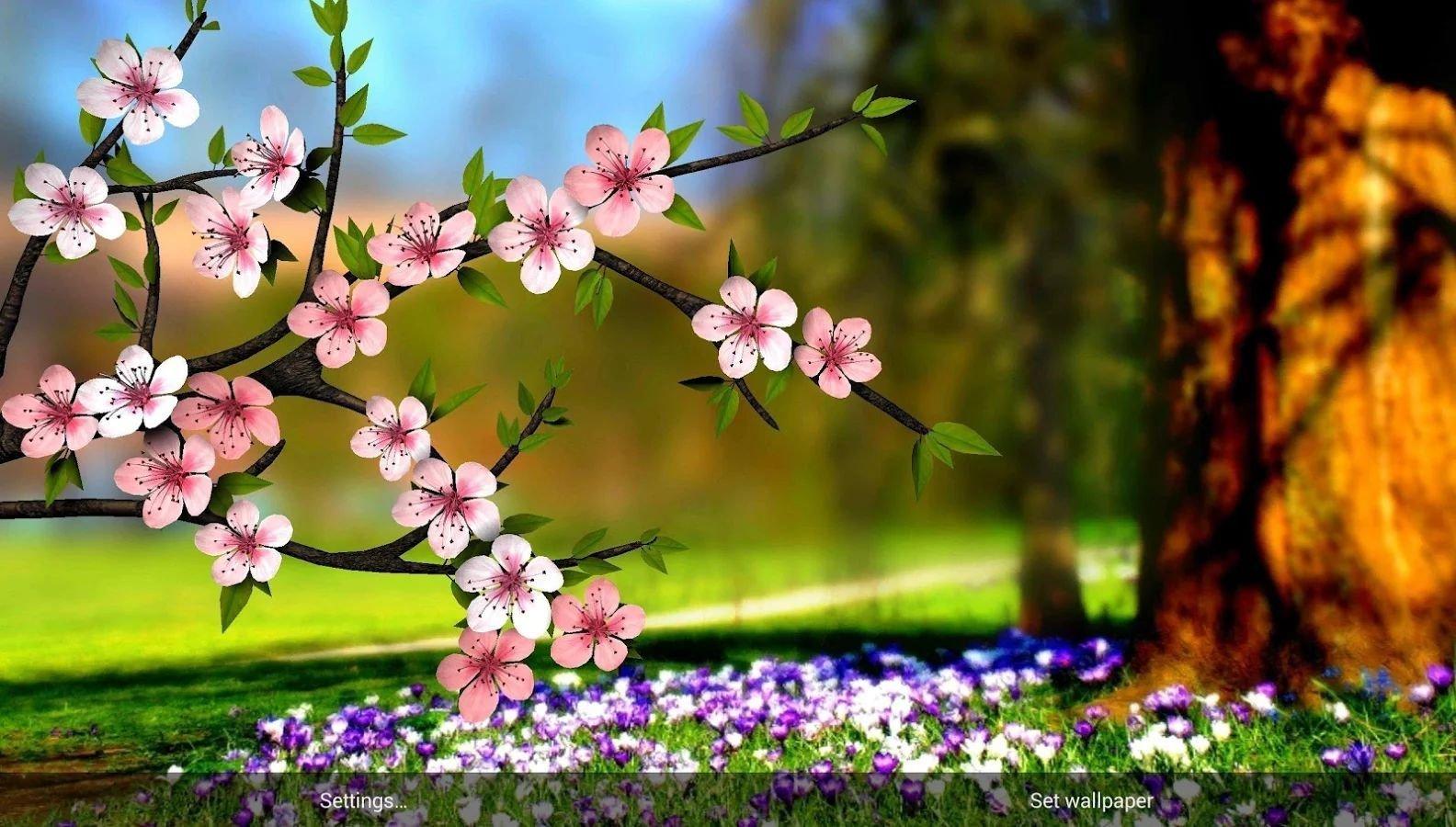 Весна в саду, или Самые яркие растения мая. Описание, фото — Ботаничка