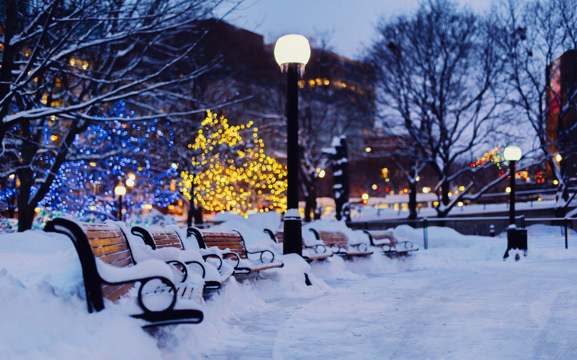 Скачать обои город, вечер, зима, снег, лавки, раздел город в разрешении  1920x1200 | Рождественская фотография, Зимние картинки, Фотографии