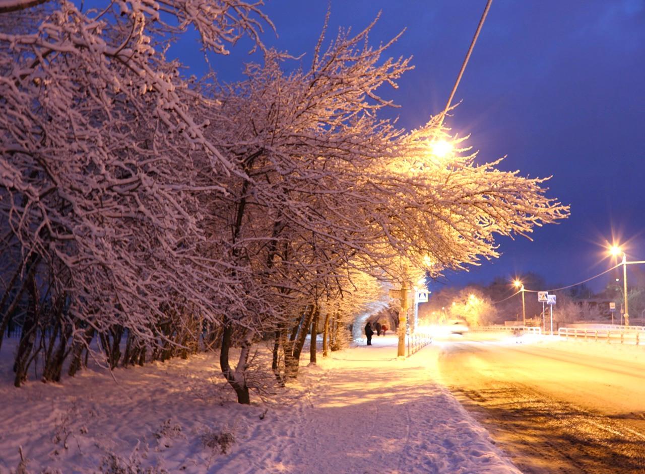 Улица зимой - фото и картинки: 59 штук