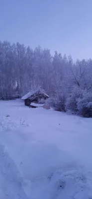 Зимний вечер - красивые картинки (100 фото) - KLike.net