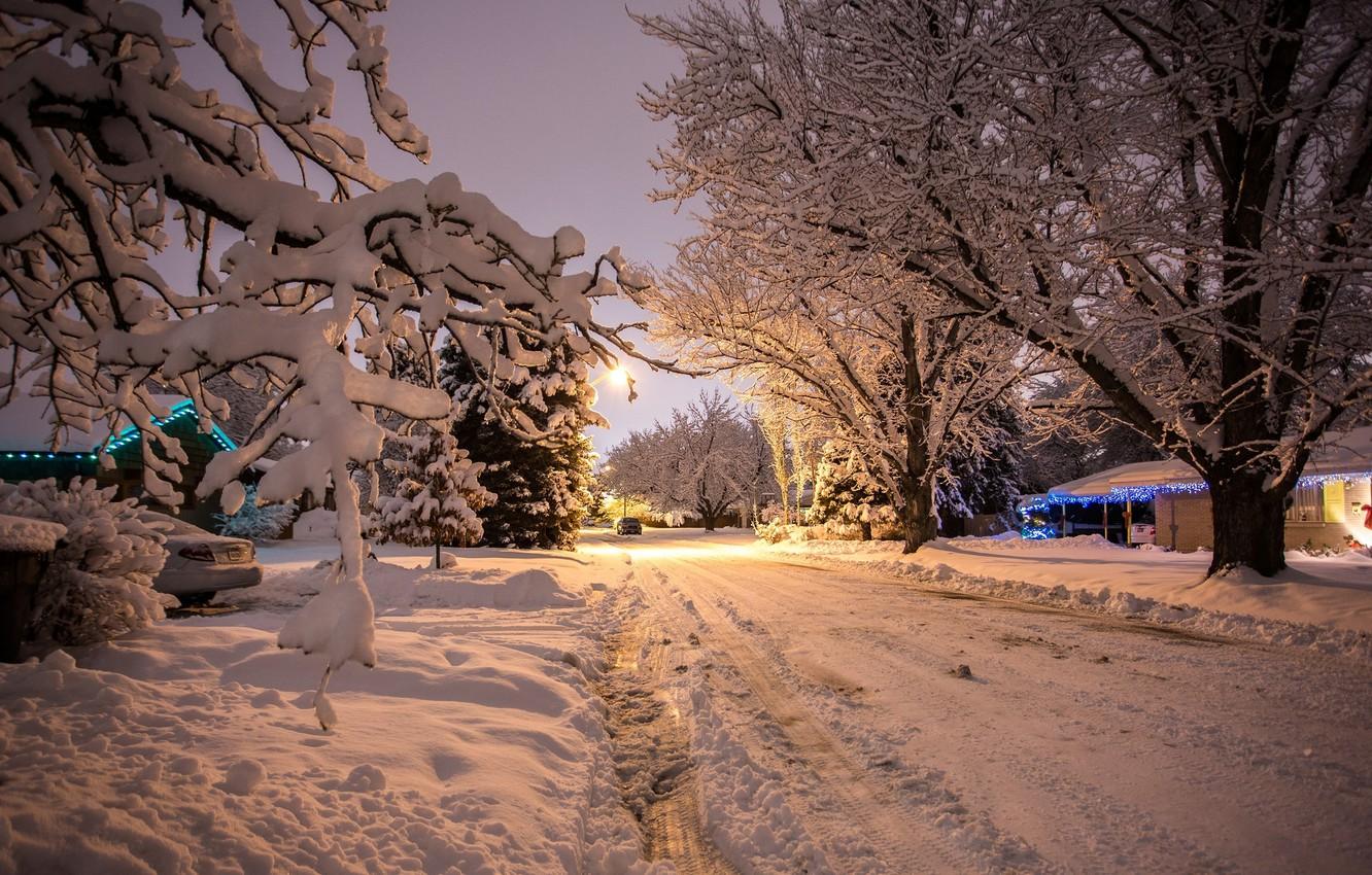 Идеи для фотосессии: Снегопад, лес, зимняя дорога | Фотограф - Андрей  Звягинцев