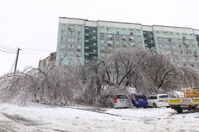 Дороги в Москве превратились в катки и реки после ледяного дождя. Видео |  РБК Life