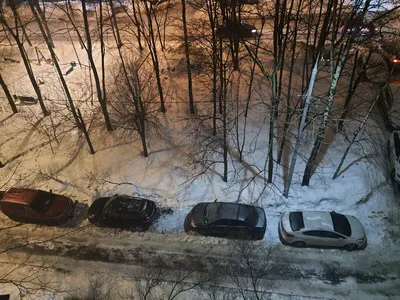 Мокрый снег и ледяной дождь в Москве | Forbes.ru