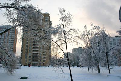 Ледяной дождь превратит Москву в один большой каток - МК