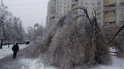 Поехавшие: на Москву обрушился ледяной дождь в Новый год (ФОТО; ВИДЕО) —  Новости Хабаровска