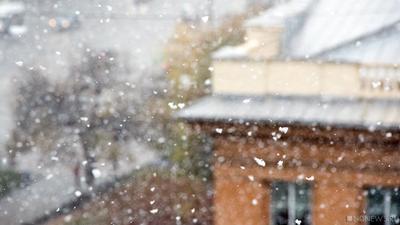 Ледяной дождь, мороз и снег: синоптик Леус рассказал о погоде в Москве на  этой неделе