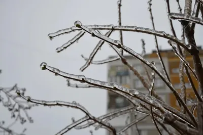 Москва | Новости | Снег, ледяной дождь, пробки, фуры на МКАД - в Москве зима
