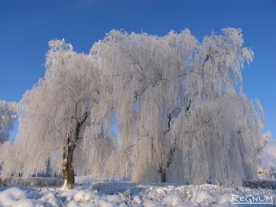 В Москве 31 января возможен ледяной дождь
