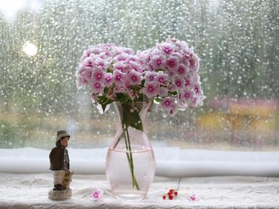 Летний дождь. Photographer LIUDMILA BABROUSKAYA