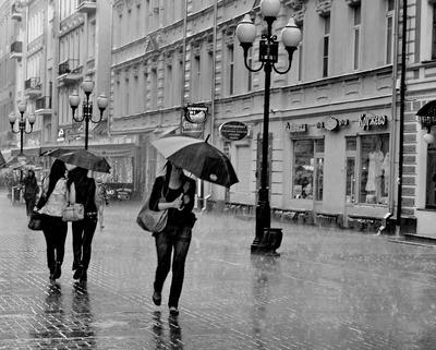 Люди с зонтиками дождя в ненастном городе Стоковое Изображение -  изображение насчитывающей толпа, ждать: 50659605