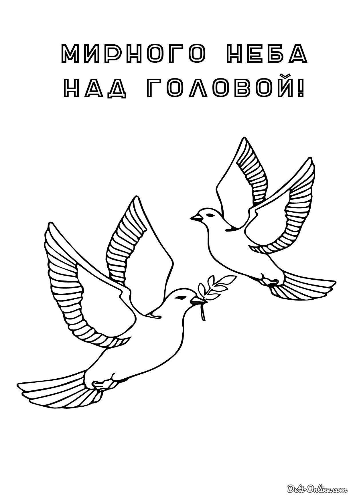 Приднестровский художественный музей открывает виртуальную выставку «Мирное  небо» | Новости Приднестровья