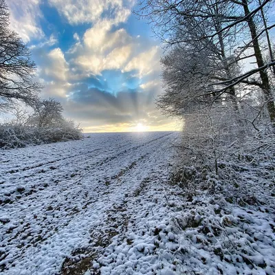 Начало зимы в Академгородке | photo-kwi.ru