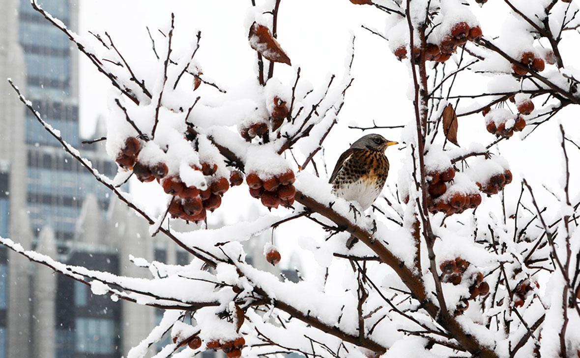 Начало зимы в Кольском Заполярье. — Путевые заметки и фотографии от  СерогоШансона
