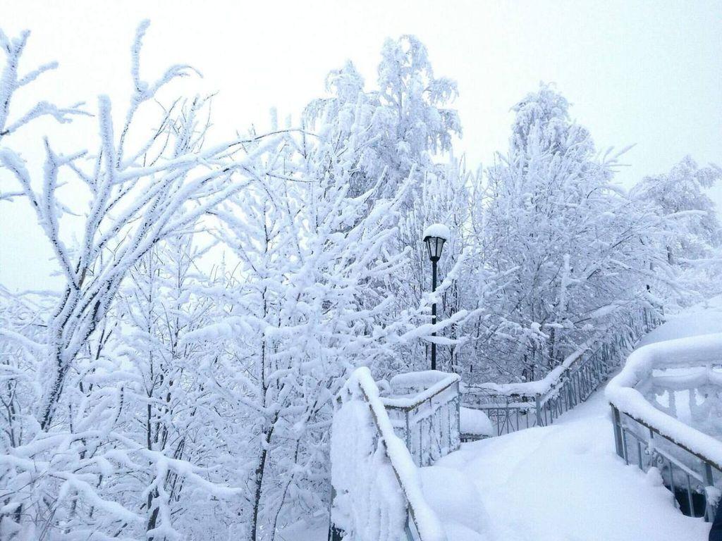 начало зимы / утренняя прогулка по зиме / Автор: Виталий Р.
