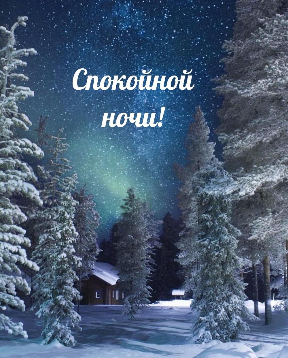 Ночь зима снег природа | Wallpapers.ai