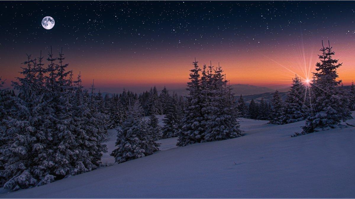 В лесу ночь зима идет снег …» — создано в Шедевруме