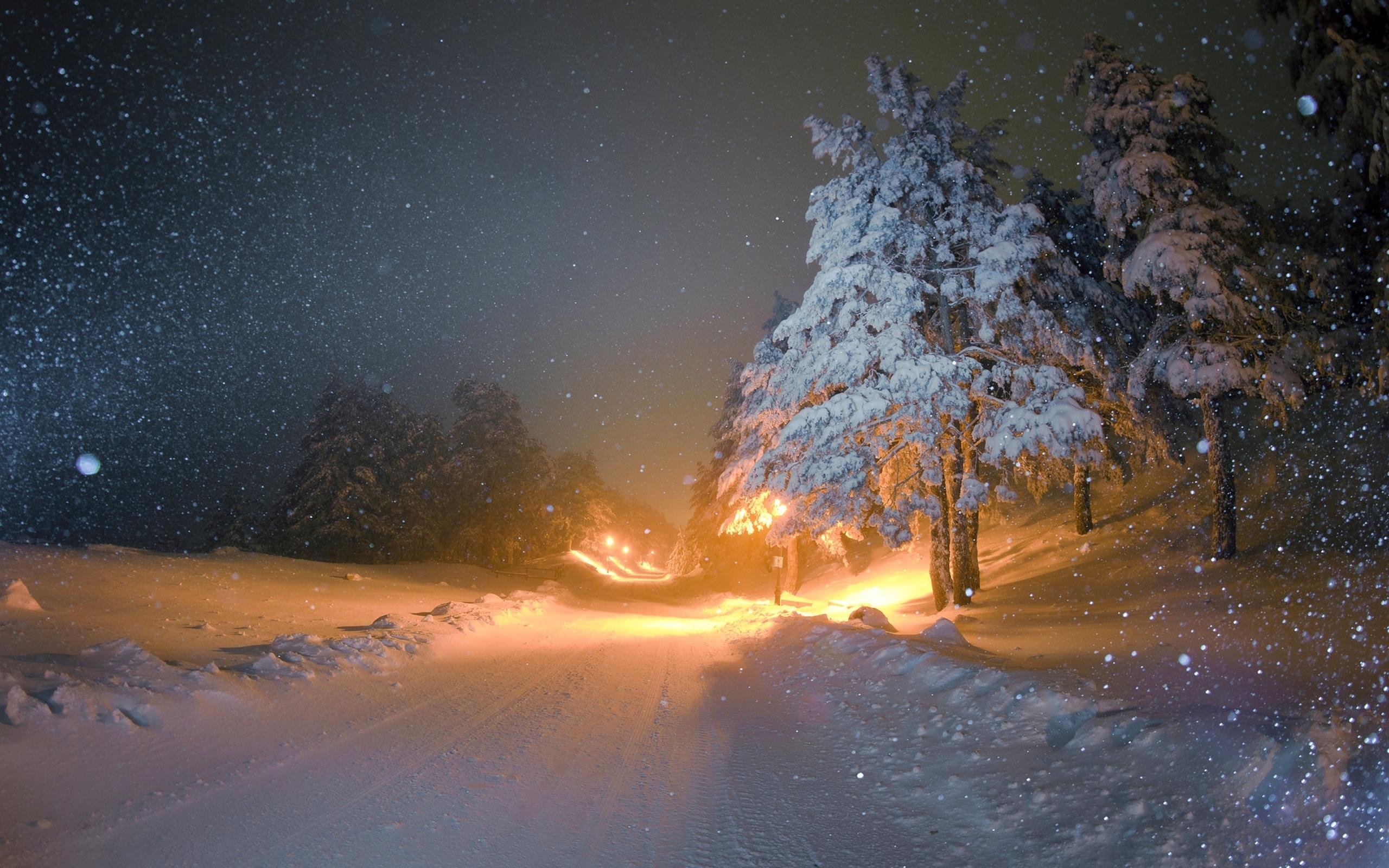 Картинки пейзаж, лес, деревня, россия, деревья, сибирь, зима, снег, домики,  сугробы, ночь - обои 1920x1080, картинка №268158