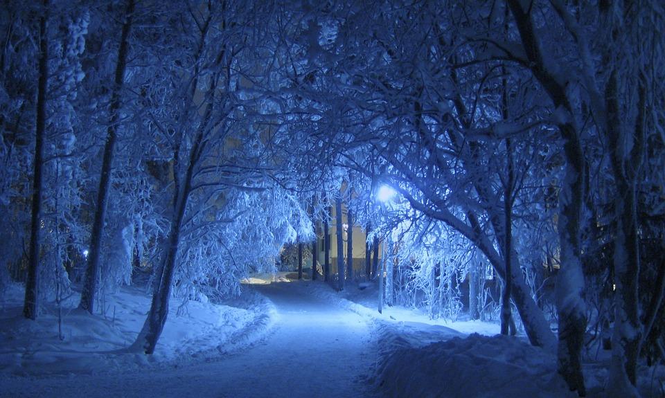 Зима Ночь Синий - Бесплатное фото на Pixabay - Pixabay