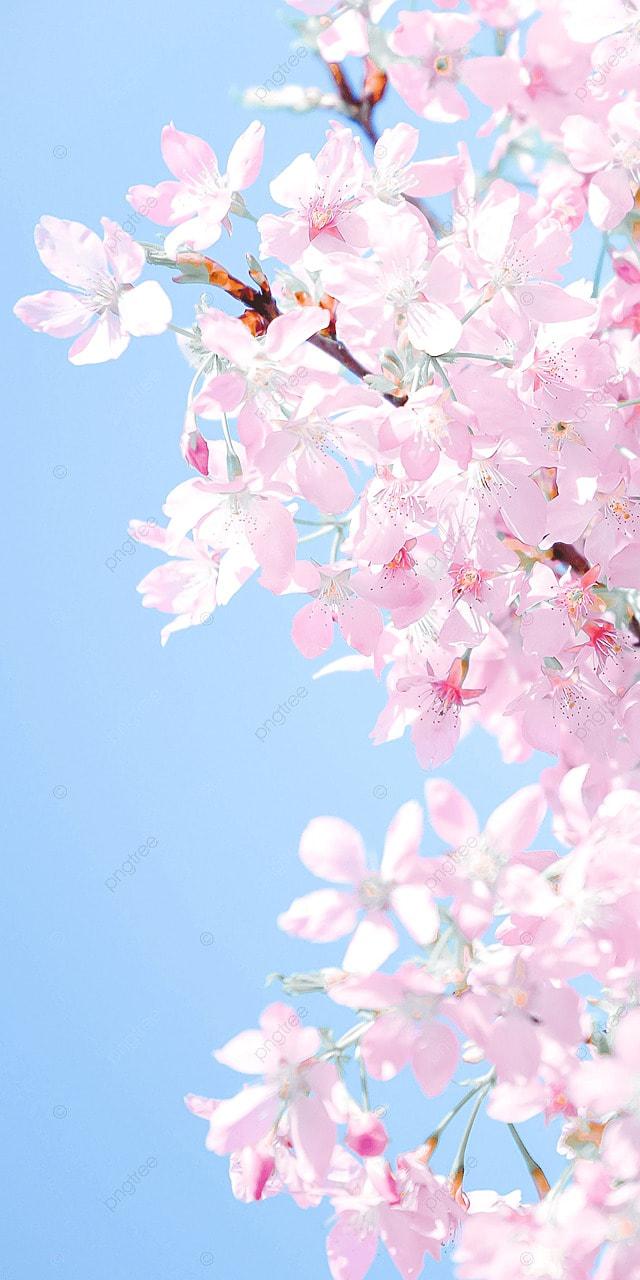 Фотообои Весна в горах купить на стену • Эко Обои